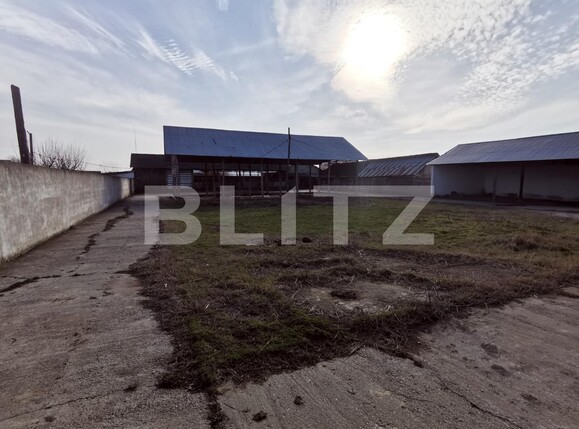 Spațiu industrial de vânzare Popoveni - 111111SVI | BLITZ Craiova | Poza3