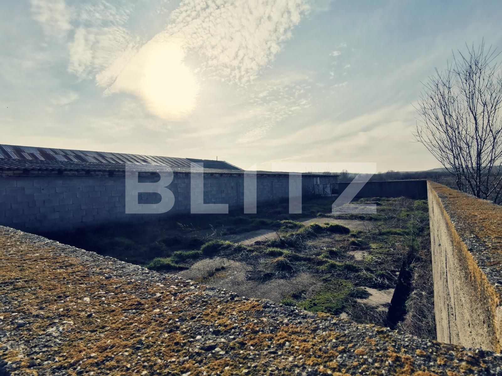 Spațiu industrial de vânzare Popoveni - 111111SVI | BLITZ Craiova | Poza10