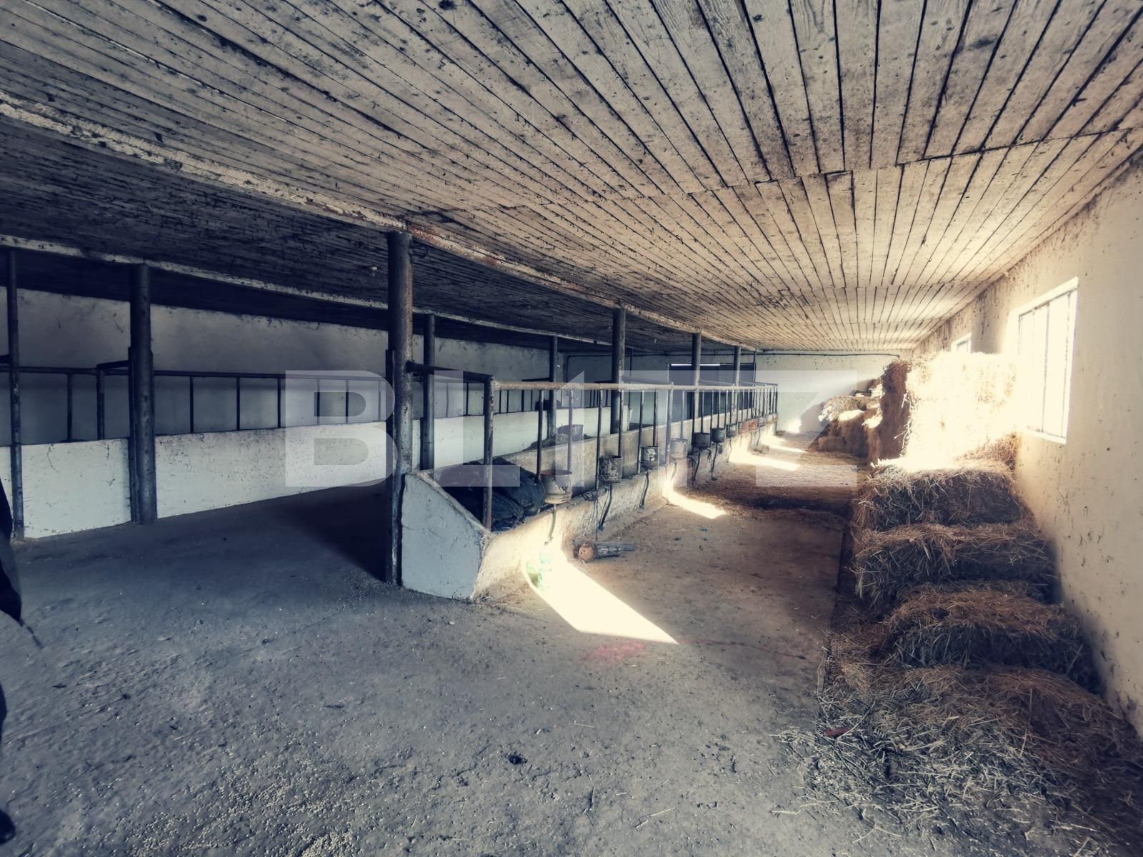 Spațiu industrial de vânzare Popoveni - 111111SVI | BLITZ Craiova | Poza5