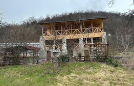 Casă de vacanță D + P + M 104 mp utili cu 1.090 mp teren, Dubova