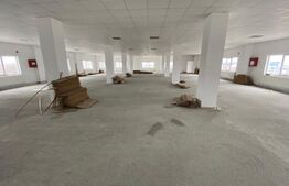 Oportunitate investiție, cladire comercială 3225 mp, teren 5850 mp, zona Bulevardului Nicolae Romanescu