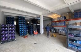 Oportunitate investiție, cladire comercială 3225 mp, teren 5850 mp, zona Bulevardului Nicolae Romanescu