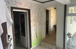 Oferta! Restaurant  cu terasa, zona semicentrala, Brazda