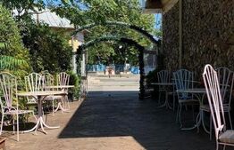 Oferta! Restaurant  cu terasa, zona semicentrala, Brazda