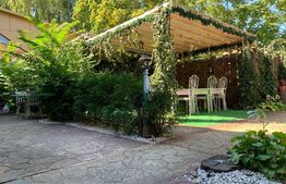 Oferta! Restaurant  cu terasa, zona semicentrala, Brazda