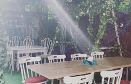 Oferta! Restaurant  cu terasa, zona semicentrala, Brazda