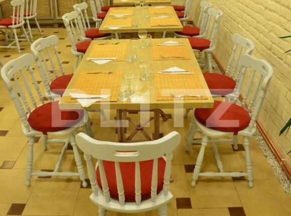 Spațiu comercial de închiriat Brazda lui Novac - 111490SIC | BLITZ Craiova | Poza2