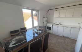 Casa pentru muncitori, zona Brazda, Consul 