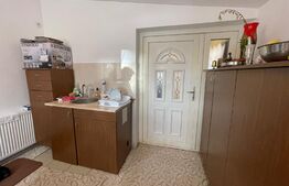 Oportunitate! Proprietate P+M ,teren de 228 mp, zona Traian Vuia