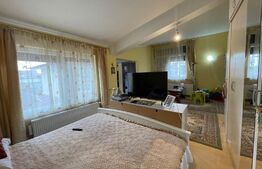 Oportunitate! Proprietate P+M ,teren de 228 mp, zona Traian Vuia