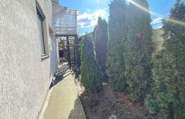 Oportunitate! Proprietate P+M ,teren de 228 mp, zona Traian Vuia