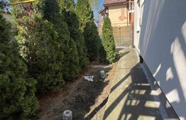 Oportunitate! Proprietate P+M ,teren de 228 mp, zona Traian Vuia