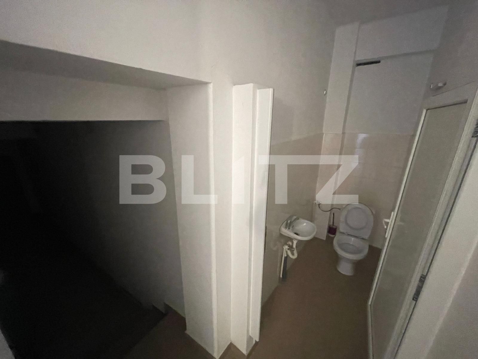 Spațiu comercial de închiriat Brazda lui Novac - 111719SIC | BLITZ Craiova | Poza7