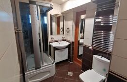 Apartament de 3 camere, 73 mp, terasa, pet friendly, zona Ultracentrala