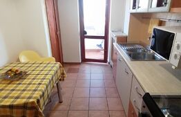 Apartament de 3 camere, 73 mp, terasa, pet friendly, zona Ultracentrala