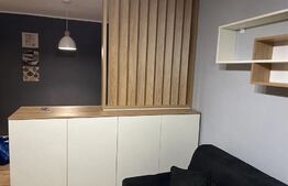 Studio spatios de 44 mp, lux, zona McDonald's