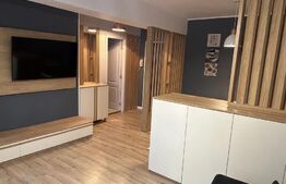 Studio spatios de 44 mp, lux, zona McDonald's