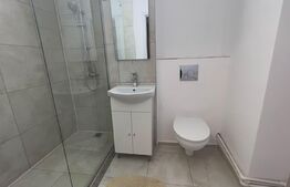 Studio spatios de 44 mp, lux, zona McDonald's