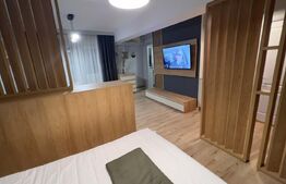 Studio spatios de 44 mp, lux, zona McDonald's