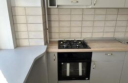 Studio spatios de 44 mp, lux, zona McDonald's