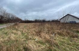 Oportunitate! Teren intravilan de 500 mp , Carcea 