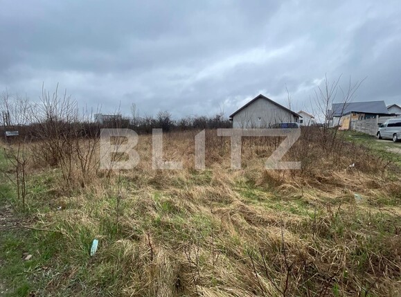 Teren de vânzare Carcea  - 112052TV | BLITZ Craiova | Poza1