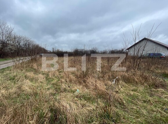 Teren de vânzare Carcea  - 112052TV | BLITZ Craiova | Poza2