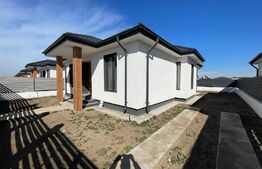 Casa plan parter, mobilata si utilata la cheie, Metro/Carcea