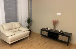 Casa plan parter, mobilata si utilata la cheie, Metro/Carcea