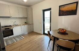 Casa plan parter, mobilata si utilata la cheie, Metro/Carcea