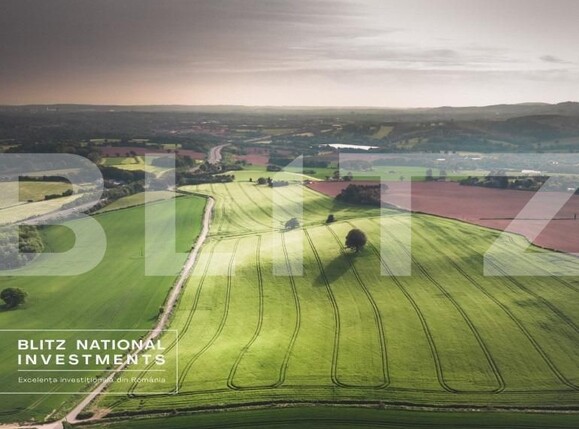 Spațiu industrial de închiriat Ultracentral - 112538SII | BLITZ Craiova | Poza6