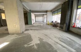 Spatiu comercial, 151 mp, renovat, posibilitate terasa, zona Brazda lui Novac