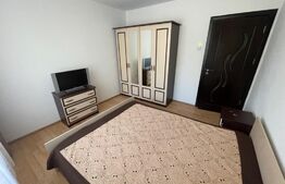 Apartament 2 camere 56mp, Petfrendly,  Brazda lui Novac