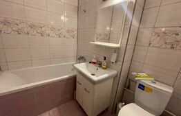 Apartament 2 camere 56mp, Petfrendly,  Brazda lui Novac