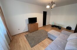 Apartament 2 camere 56mp, Petfrendly,  Brazda lui Novac