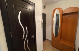Apartament 2 camere 56mp, Petfrendly,  Brazda lui Novac