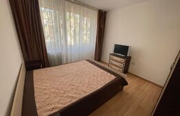 Apartament 2 camere 56mp, Petfrendly,  Brazda lui Novac
