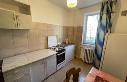 Apartament 2 camere 56mp, Petfrendly,  Brazda lui Novac