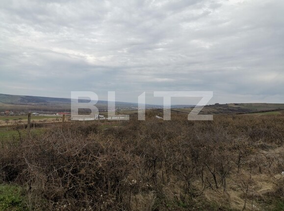 Teren de vânzare Simnicu de Sus  - 113102TV | BLITZ Craiova | Poza4