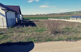 Teren 1000 mp intravilan, stradal, zona Albesti!