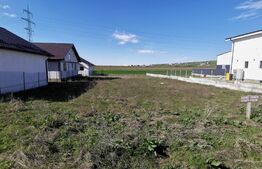 Teren 1000 mp intravilan, stradal, zona Albesti!