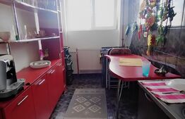 Apartament de 2 camere, 80mp, pet-friendly, centrala termica, zona Cornitoiu