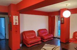 Apartament de 2 camere, 80mp, pet-friendly, centrala termica, zona Cornitoiu