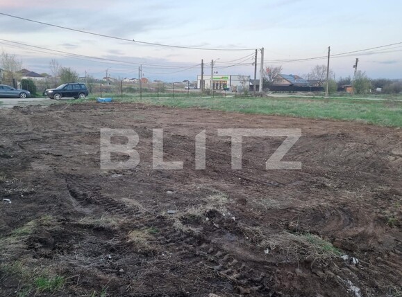 Teren de vânzare Ghercesti - 113249TV | BLITZ Craiova | Poza6