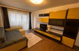 Apartament 2 camere petfrendly, centrala termica, aer conditionat, Calea Severinului