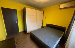 Apartament 2 camere petfrendly, centrala termica, aer conditionat, Calea Severinului