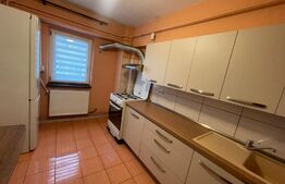 Apartament 2 camere petfrendly, centrala termica, aer conditionat, Calea Severinului