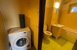 Apartament 2 camere petfrendly, centrala termica, aer conditionat, Calea Severinului