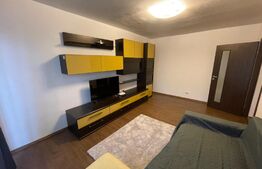 Apartament 2 camere petfrendly, centrala termica, aer conditionat, Calea Severinului