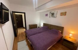 Apartament de 3 camere modern, centrala termica, 3x Aer conditionat, Lapus Arges